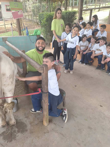 Bicho Mania 2022